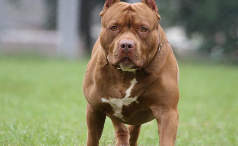 K7TYAUFTCY2S5CBRKNE5BKOXUA