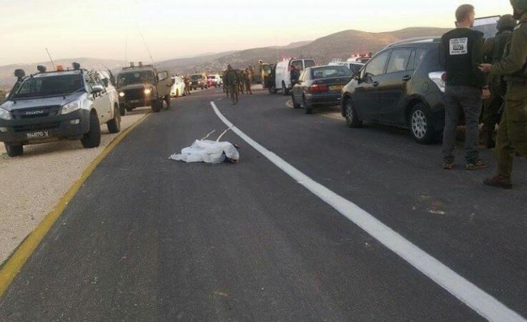 12814639_1677227395868571_955235737630932176_n