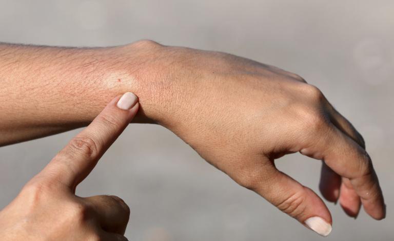 GettyImages-184988794-570278d83df78c7d9e6c1244