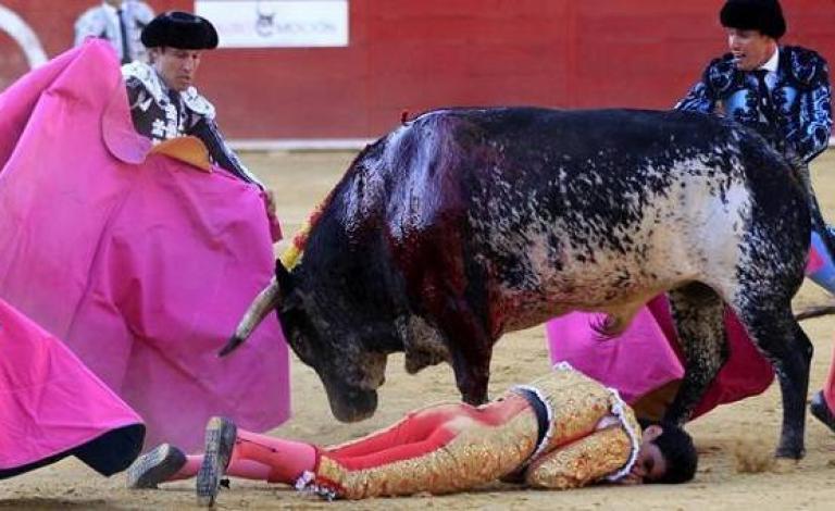 large-2601207590330822360