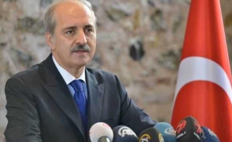 نائب رئيس الحكومة التركية