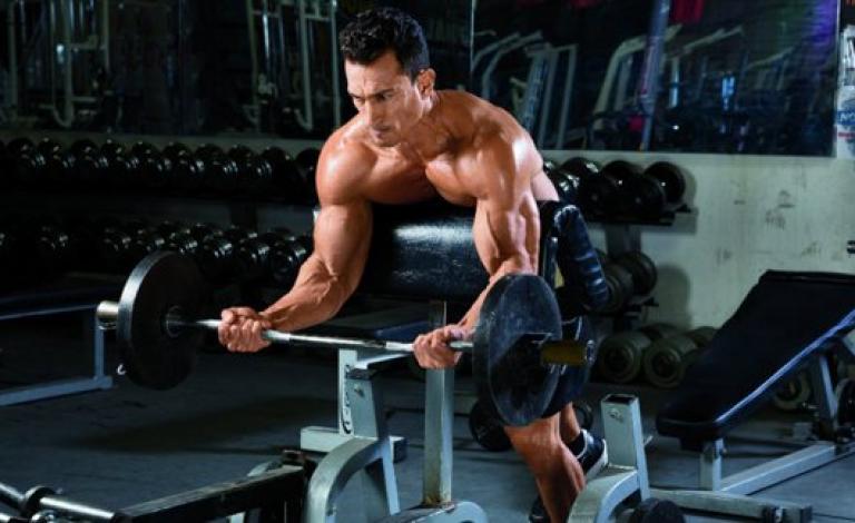 تمارين عضلات