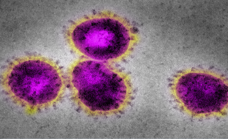 5e5e1dda42360437a72e9e1a