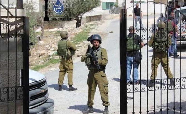 11164360455058288086223428133153