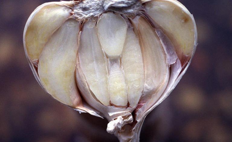 تجعلك بعض الأطعمة أكثر قوة ونشاطاً إذا قمت بتغيير الطريقة التي تستهلكين فيها هذه الأطعمة، إذ سيساعدك هذا التغيير على الإستفادة منها أكثر، وترك العادات التي كانت تجعل استهلاكها يسبب بعض الأضرار.  الحمضيات  يستمتع الجميع بكوب من عصير البرتقال خلال فترة الصب