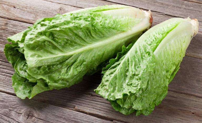 فوائد-الخس-للرجيم