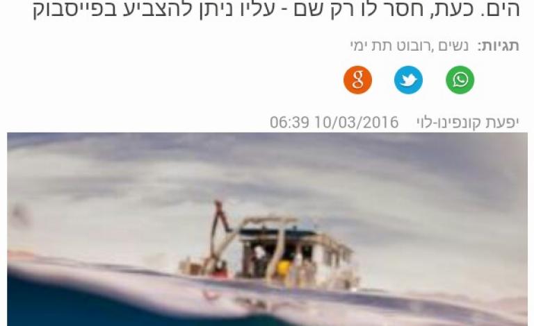 12799463_1270631859630120_5242369686355131911_n