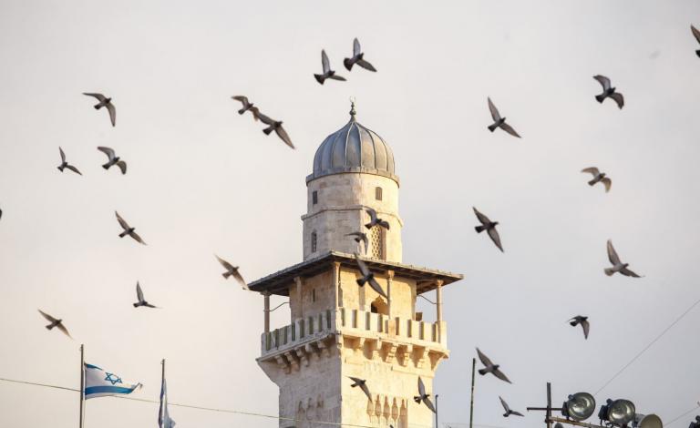 دعت وزارة الإعلام، إلى إطلاق حملة إسلامية وعربية ضد إقرار 