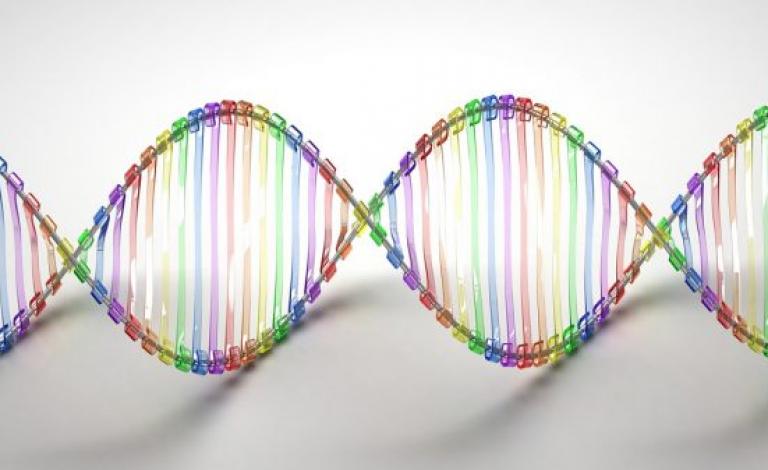 DNA-598x337