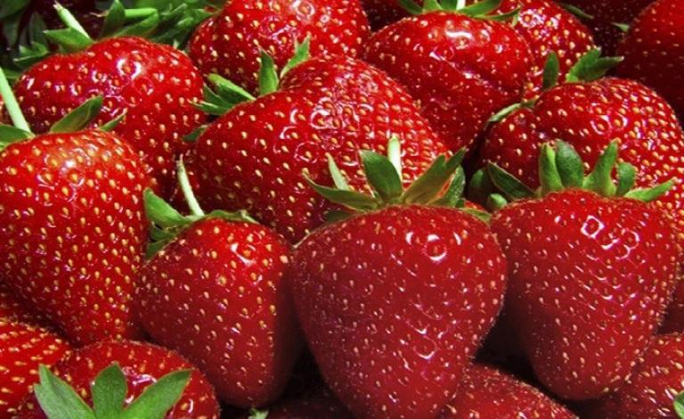 علماء: الفراولة تقي من سرطان الثدي