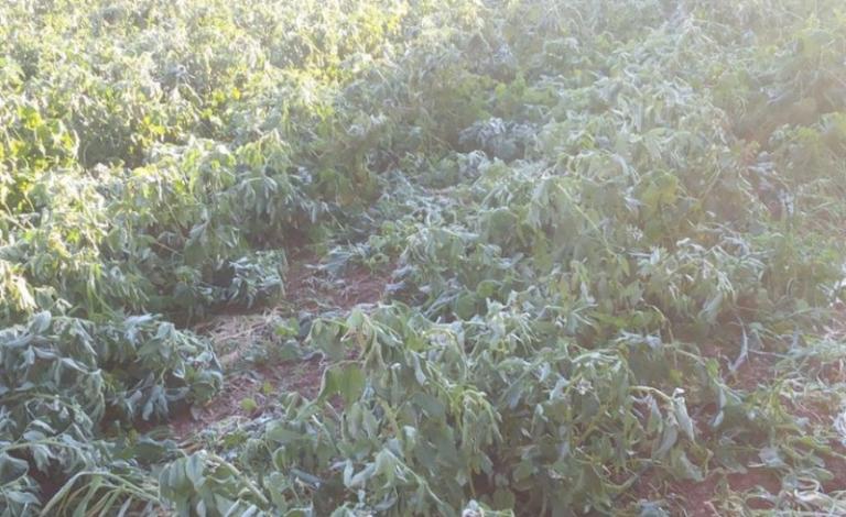 10425419_961420040567083_366696759755176500_n