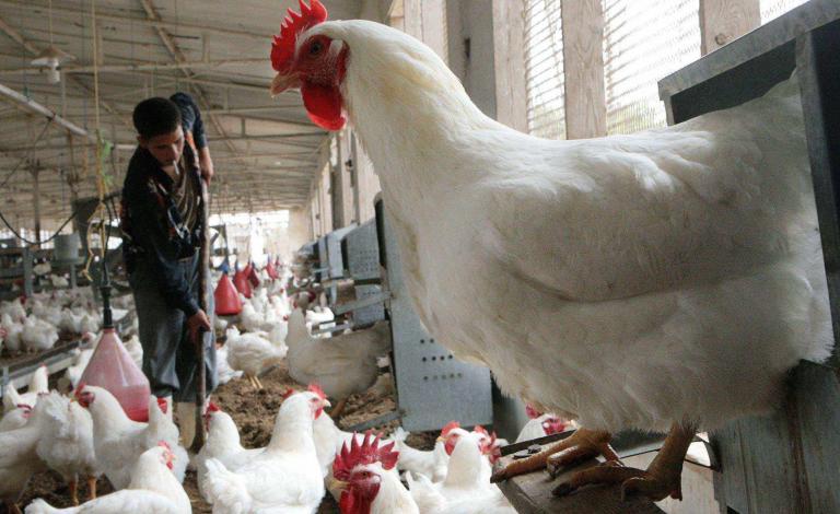 cf89c6f0a8c105d2a07c6524b7ca8051