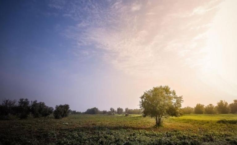 thumb-jpg-70481732486503818