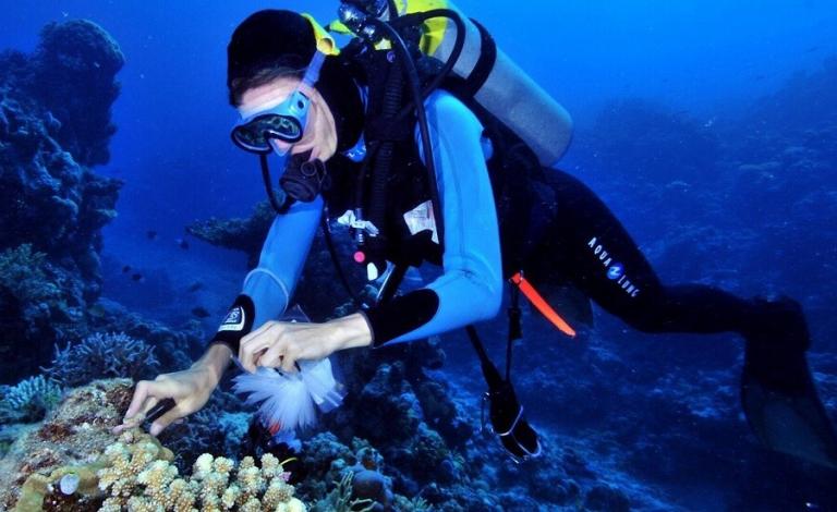 5da02e274236042c663dbc59