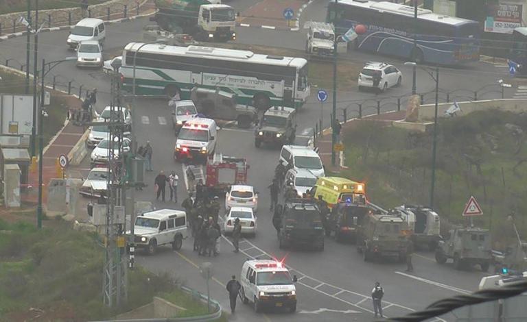 12108860_1343717639003986_6454146576015409944_n