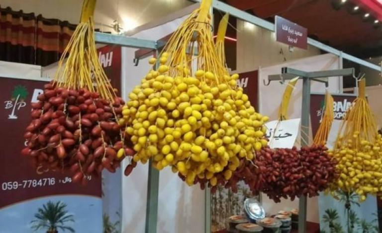 موسم البلح.. مصدر دخل للآلاف من العمال في قطاع غزة