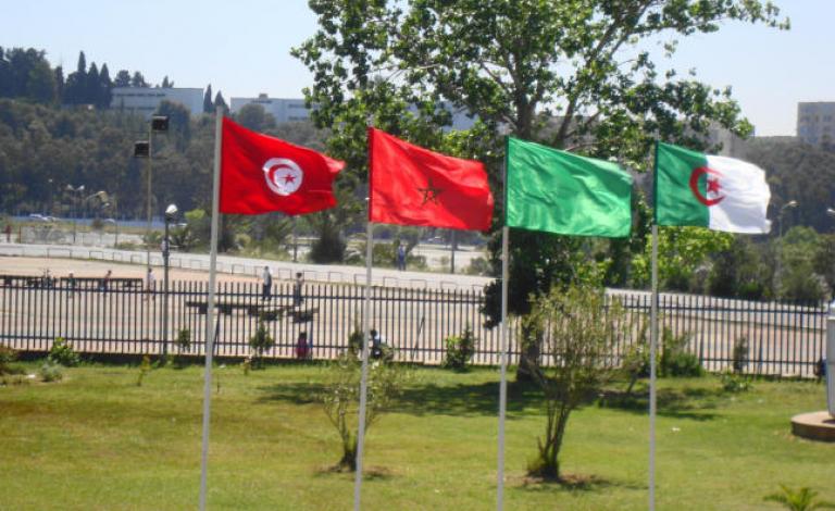 الأزمة الليبية ودور تونس
