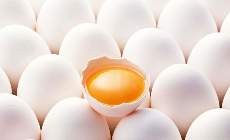 egg-1