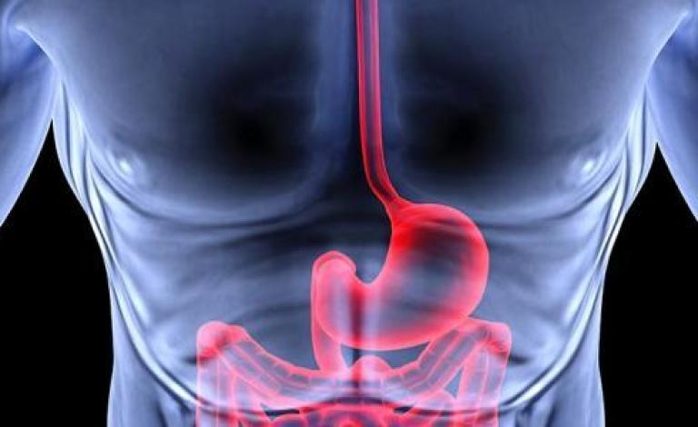 e84a09e0-bea6-47bc-9426-b22b5c3b87ba