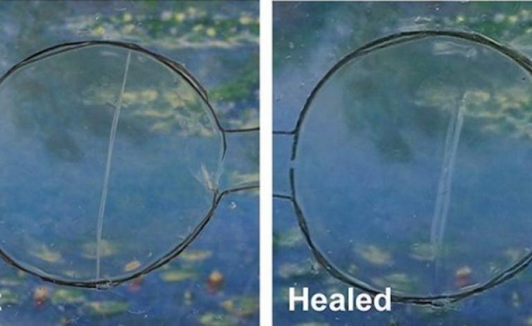 Cut-Healed-Smartphone-Display