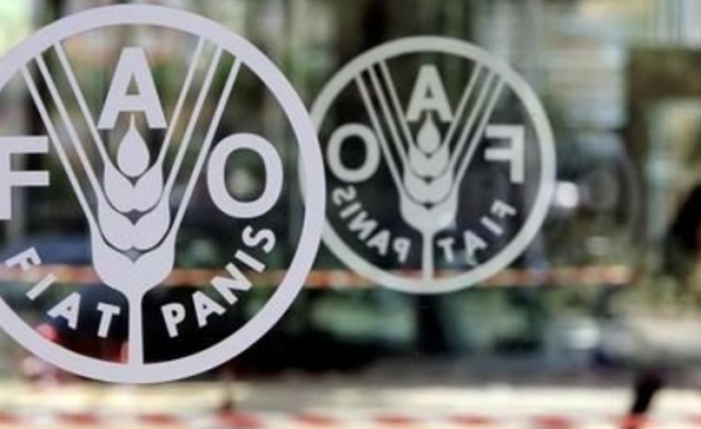 أسعار الأغذية العالمية إلى 