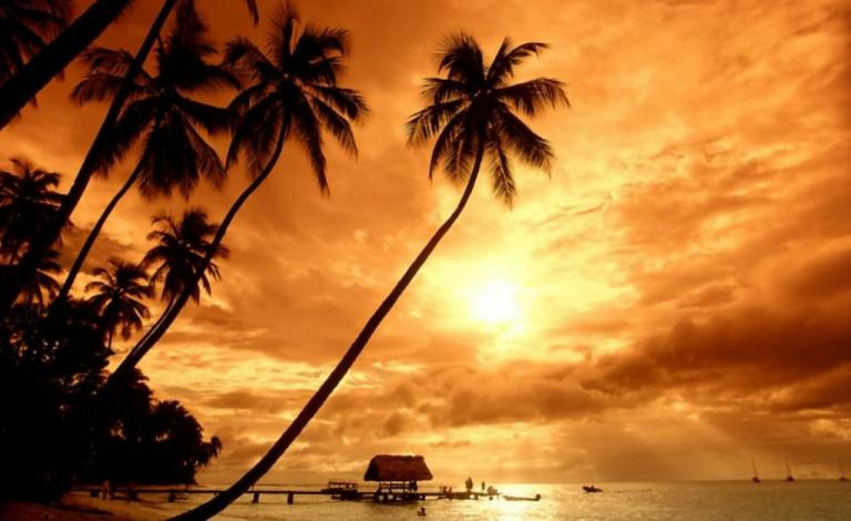 z88z_pic_1331299178_332