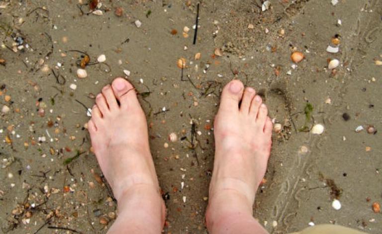 newsaliraq.com2143446278