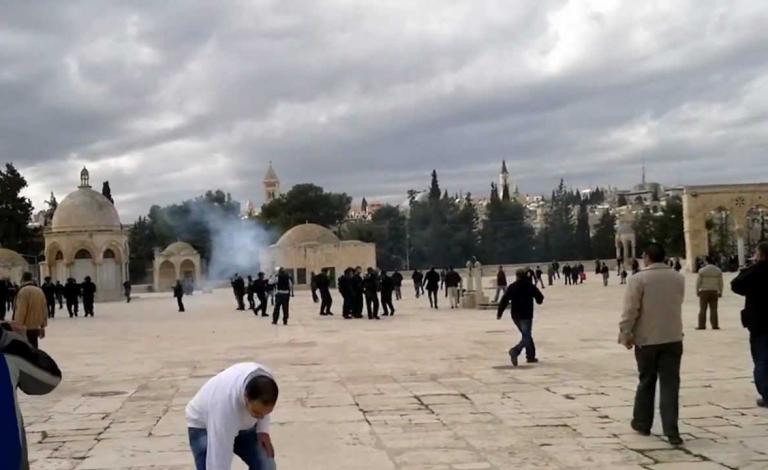 8fdc0f910c664a5b1a469af2a100b080