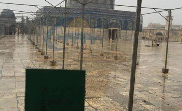 12358514_10203682724748841_348655694_n