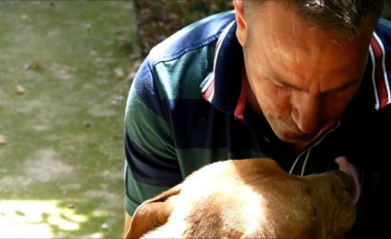 شاب تركي يتجول بدراجته لإطعام القطط والكلاب