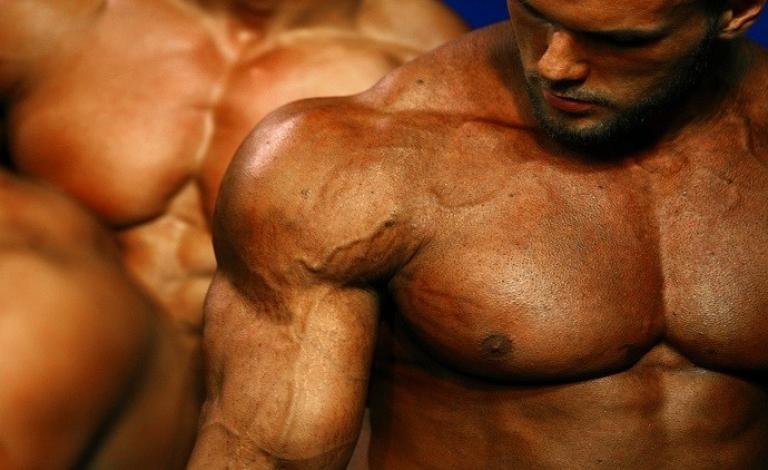 عضلات كمال أجسام