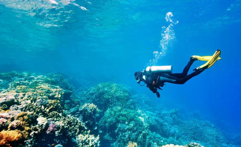 Bunaken-diving