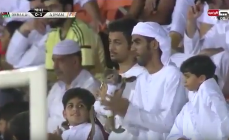 قرد بين الجماهير بالدوري الإماراتي