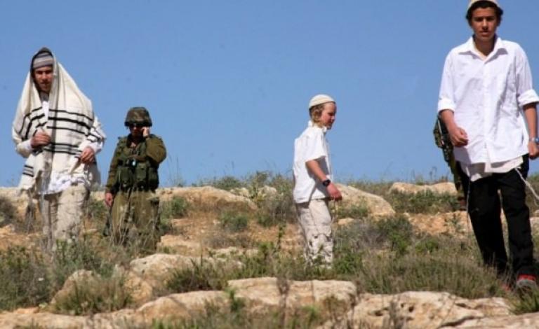 مستوطنوسلعيت ومسكيوت يستولون على أكثر من300دونم قرب خلة حمد في الأغوار