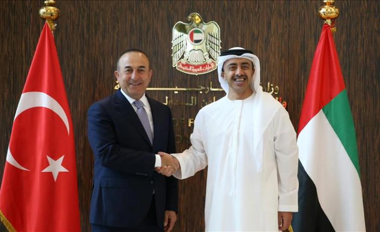 وزير الخارجية الإماراتي مع وزير الخارجية التركي