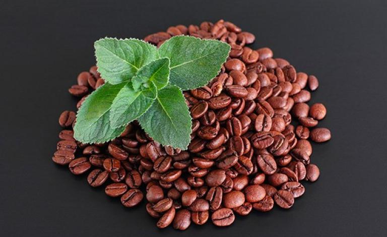 842cc4601e2506fb74600556049bfa6d