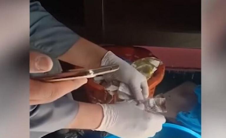 5e5d10eb4236041ee10e12ef