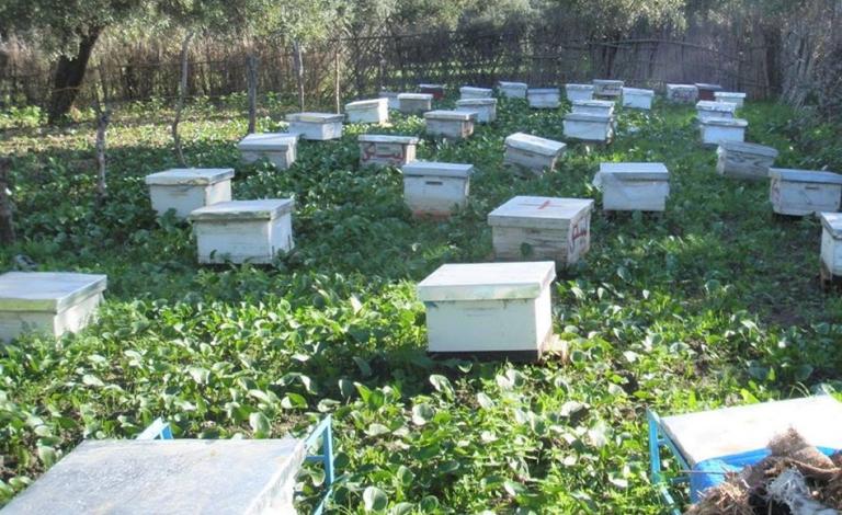 1e23b49f-6d54-4d95-9a14-17b396ad7802