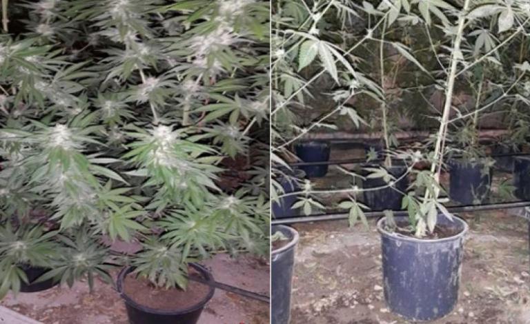 ضبط 6 كيلو من المواد المخدرة بجنين