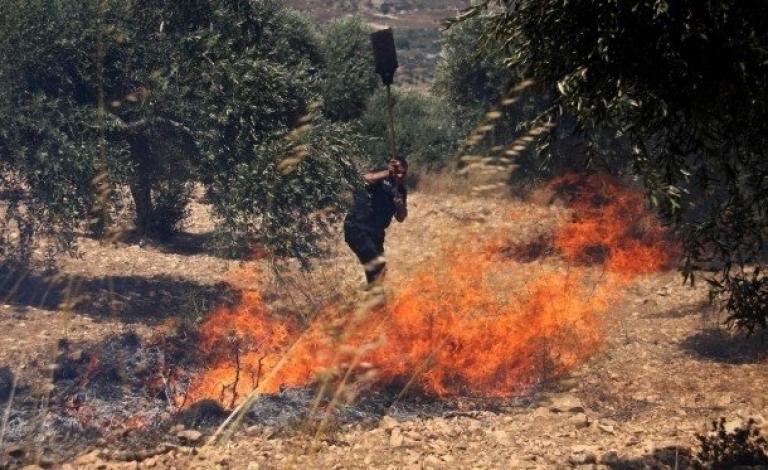 صورة أرشيفية