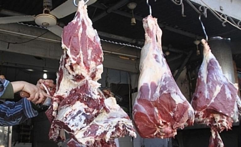 16914453474fdf14db3d670293ccf16f3b58f785bb-1qarfo8qpjy1lghptc66ihs49nv9acumfesc12cpldtw