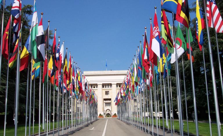 un-flags