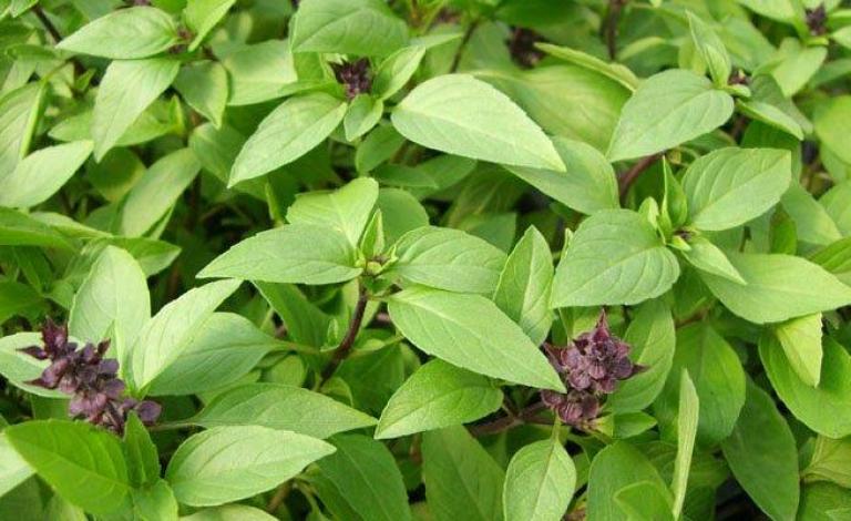 7ca8f35c-4e8e-481d-9297-6b217c9290e7