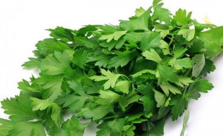 فوائد_البقدونس-1344x700