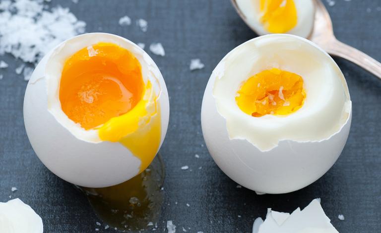 shutterstock_133684631