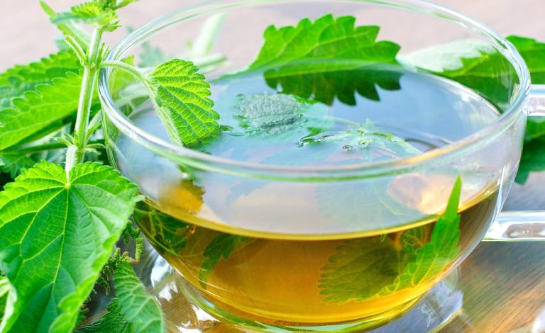 3182-nettle-tea