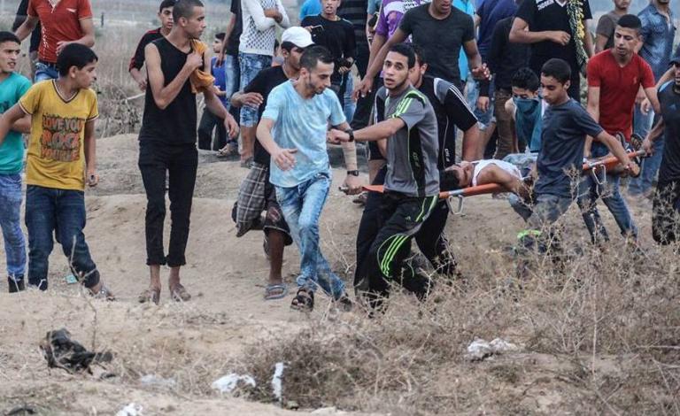 12168125_438078506378521_731977150_n