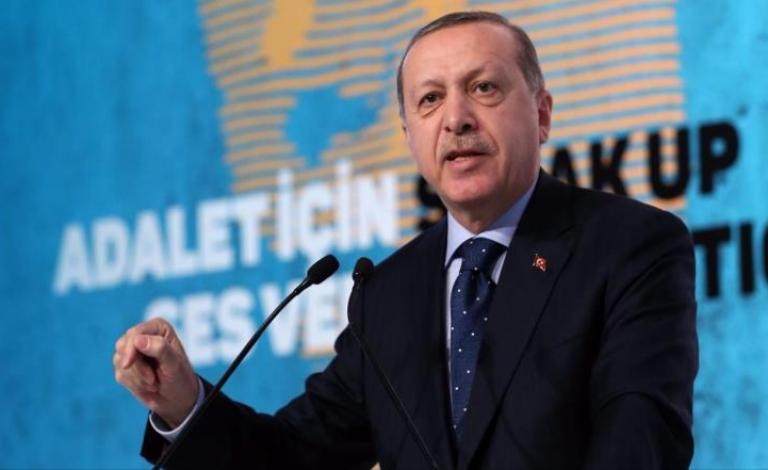 أردوغان يقترح العملات المحلية للتجارة مع ثلاث دول