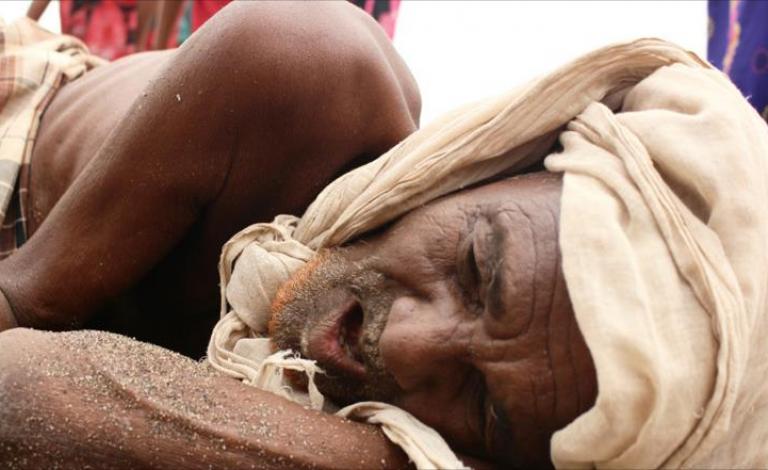 الأمم المتحدة: المجاعة تهدد 17 مليون يمني