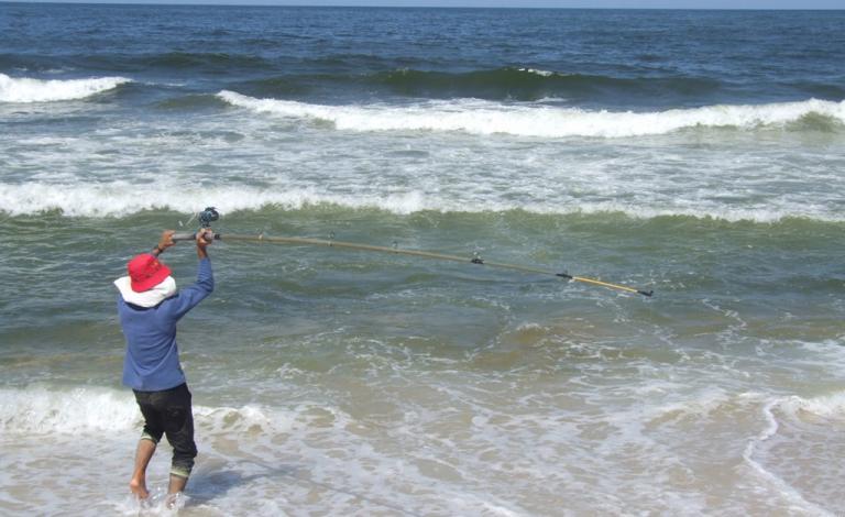 سنارة الصيد